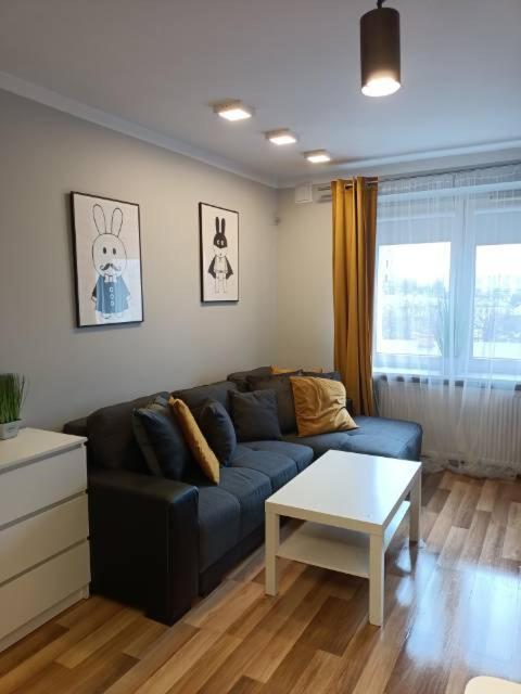 Family & Business Elegant Apartments Rynek Centrum Downtown - 2 Bedroom, Balcony, Parking Kielce Exterior photo